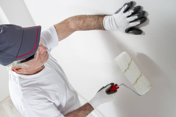 Best Mold Odor Removal Services  in USA